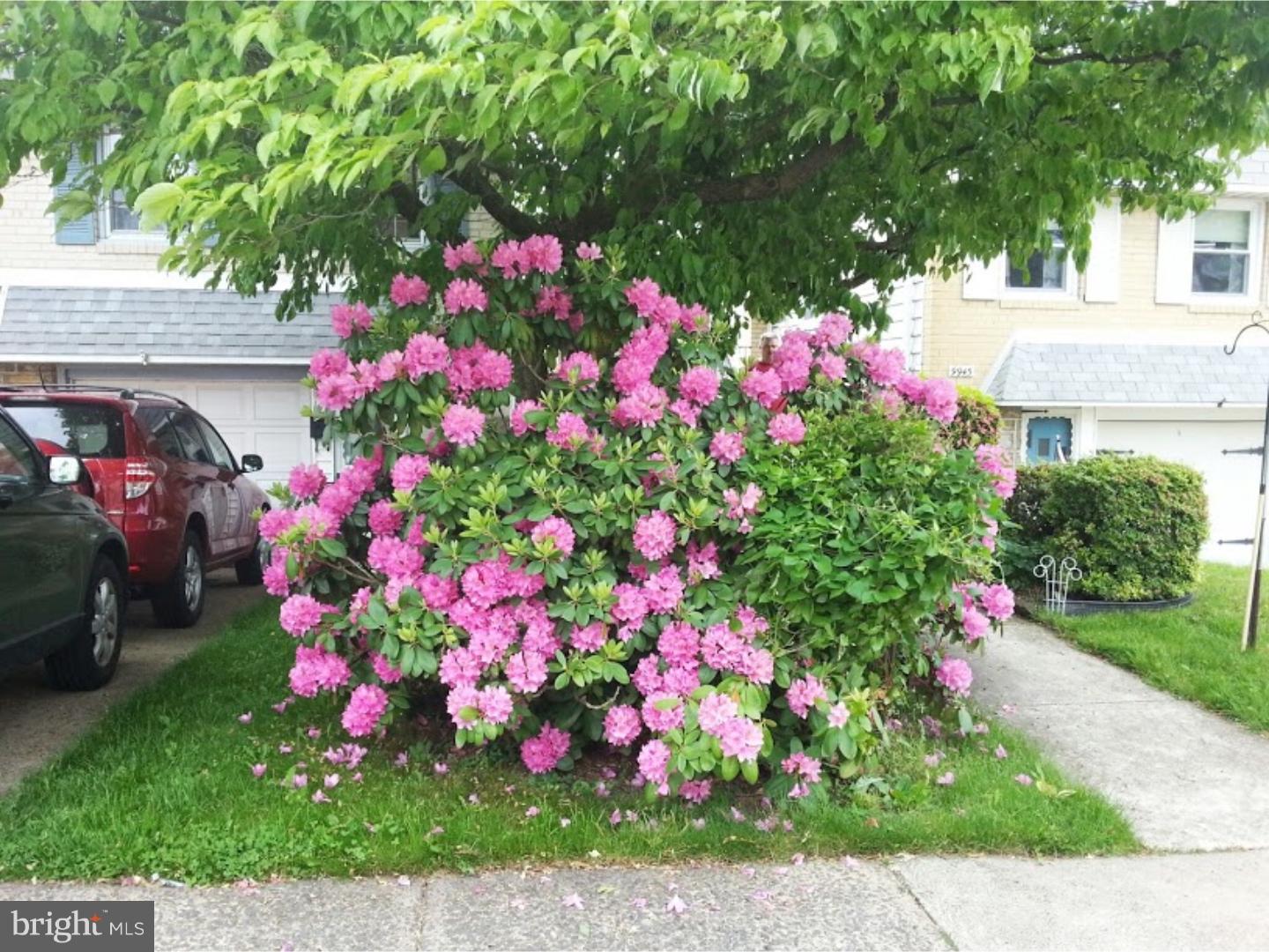 9947 Bridle Road Philadelphia, PA 19115 - Photo 5 of 20 Front Yard