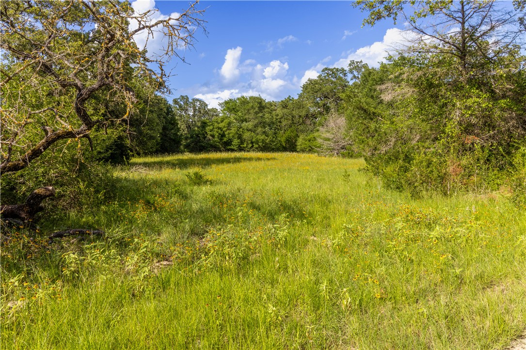 10102 Ferrill Creek Road Bryan, TX 77808 - Photo 8 of 29