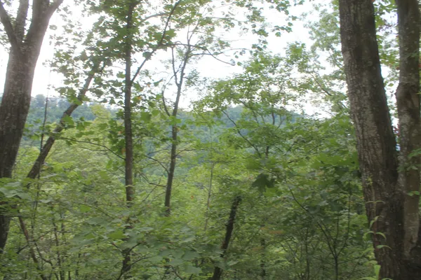 $1,524,090 | 3 Straight Fork Road, Huntsville, TN 37756