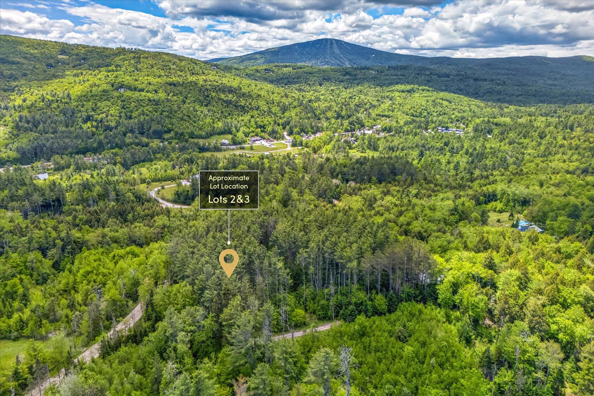 0 Wall Street, Unit LOT 2 & 3 Winhall, VT 05340 - Photo 1 of 5