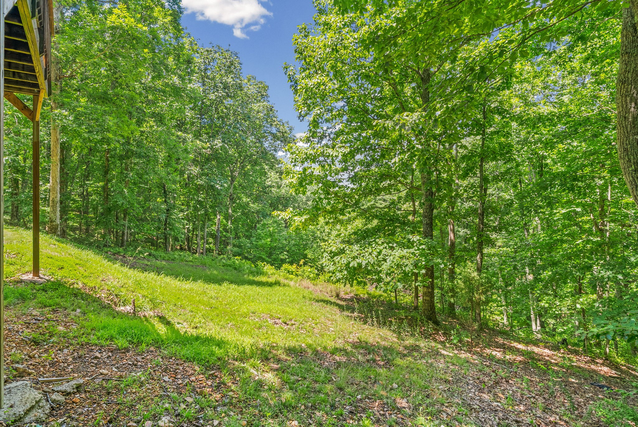 238 Eagle View Road Dover, TN 37058 - Photo 31 of 41