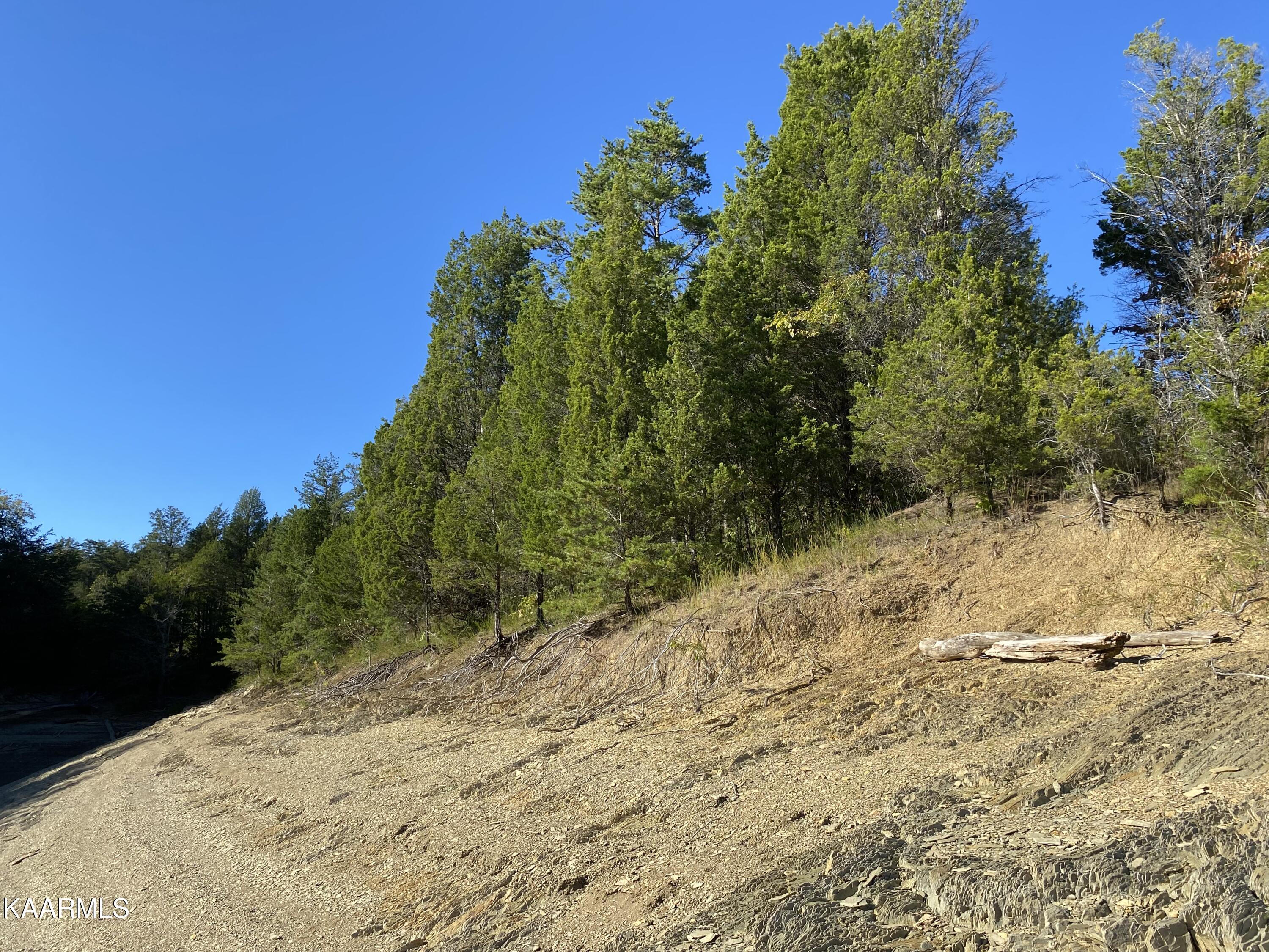 Fox Island Sevierville, TN 37876 - Photo 13 of 15 image_50462465