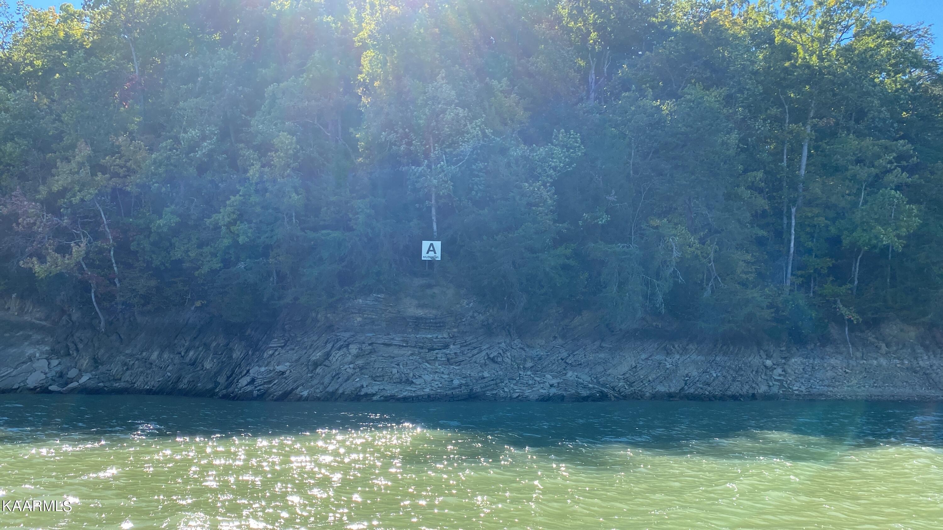 Fox Island Sevierville, TN 37876 - Photo 10 of 15 image_6483441(5)