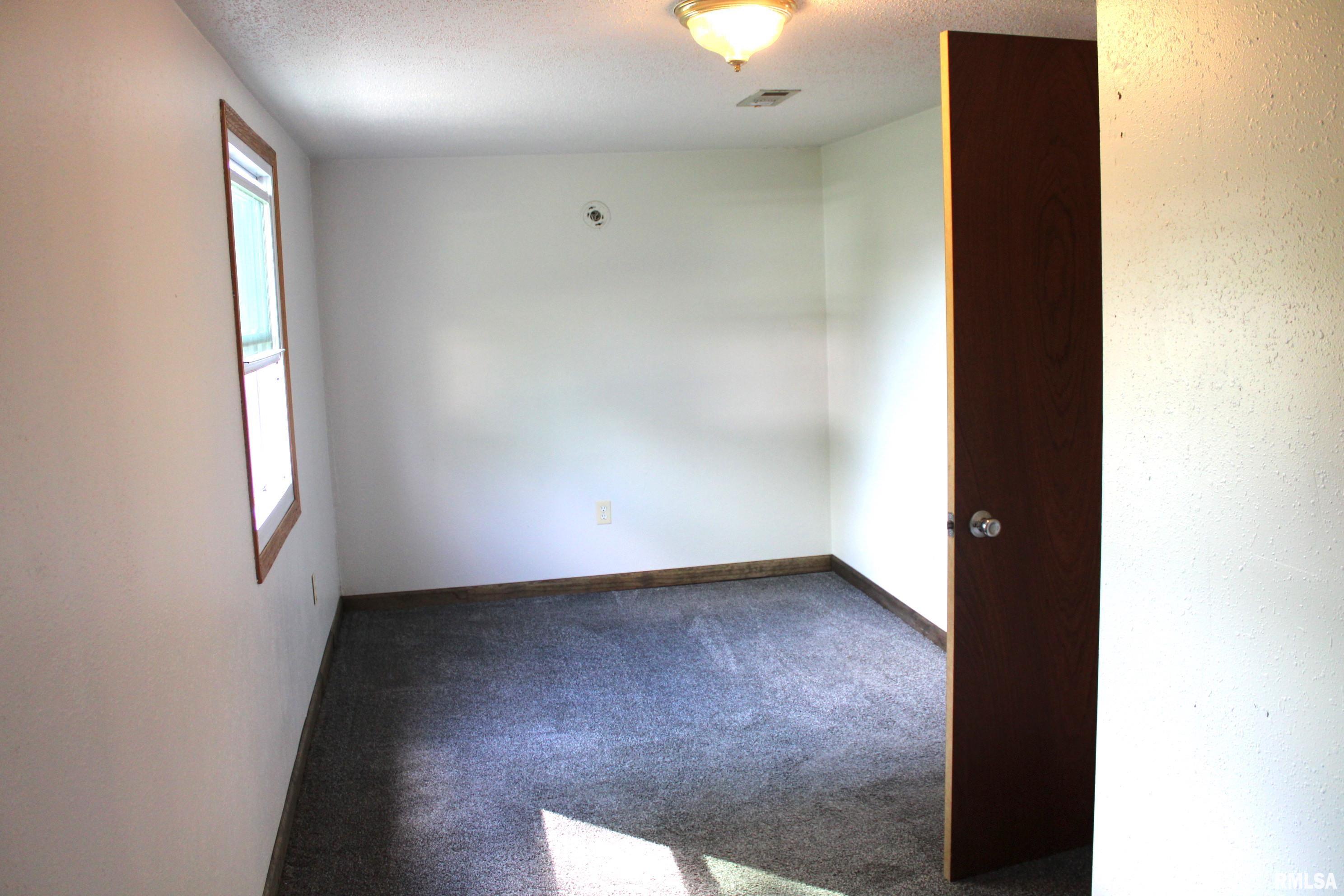 208 6th Street Colona, IL 61241 - Photo 12 of 18