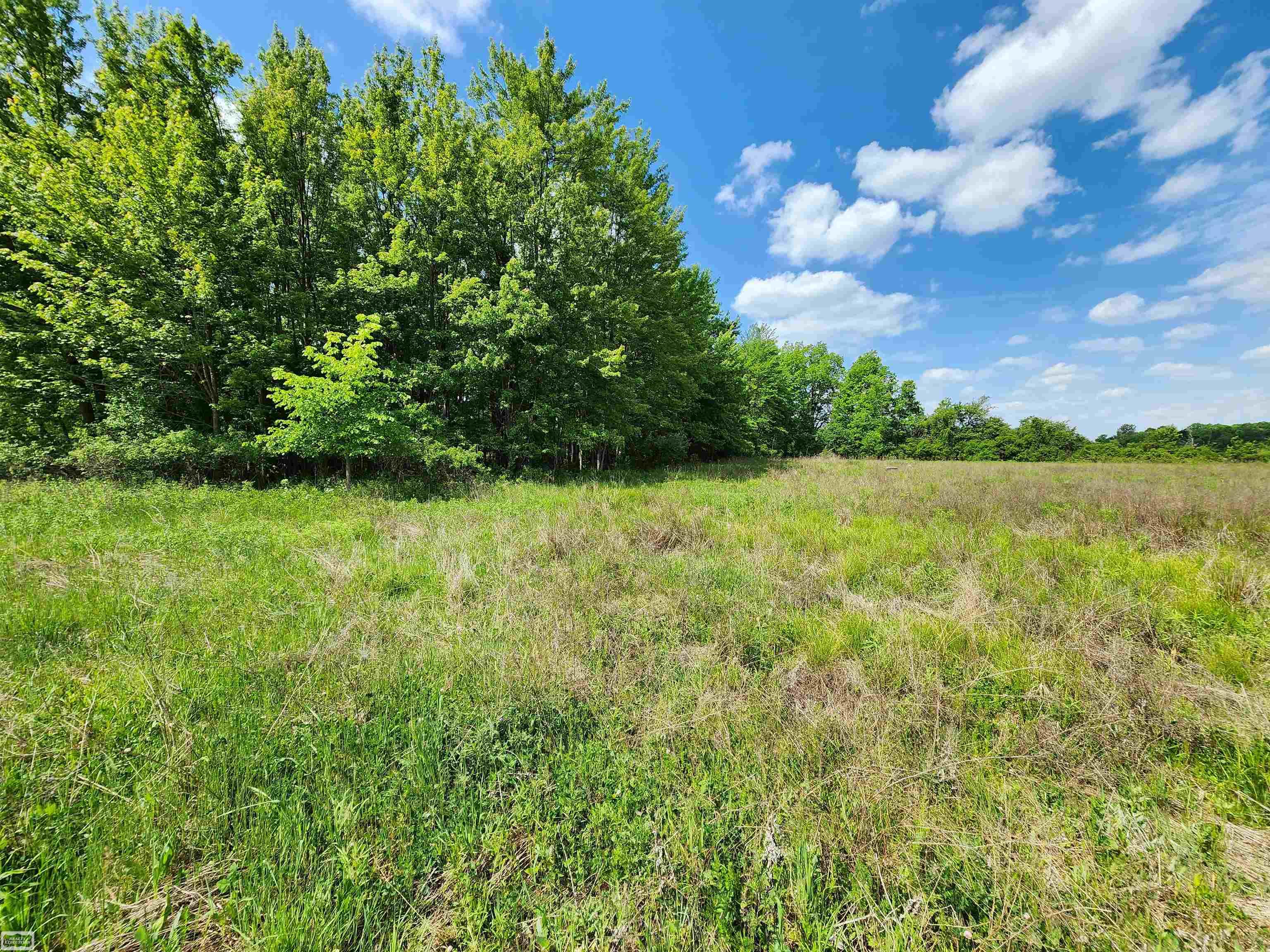 0 Brennan Road Avoca, MI 48006 - Photo 18 of 38