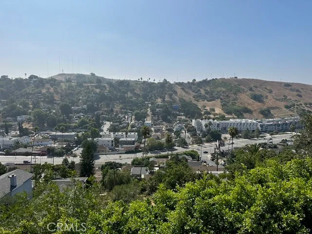 a view of a yard with plants and trees