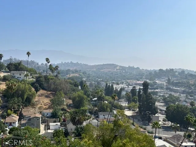 a view of backyard and tree