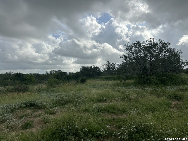Tbd Leal Road Pleasanton, TX 78064 - Photo 10 of 14