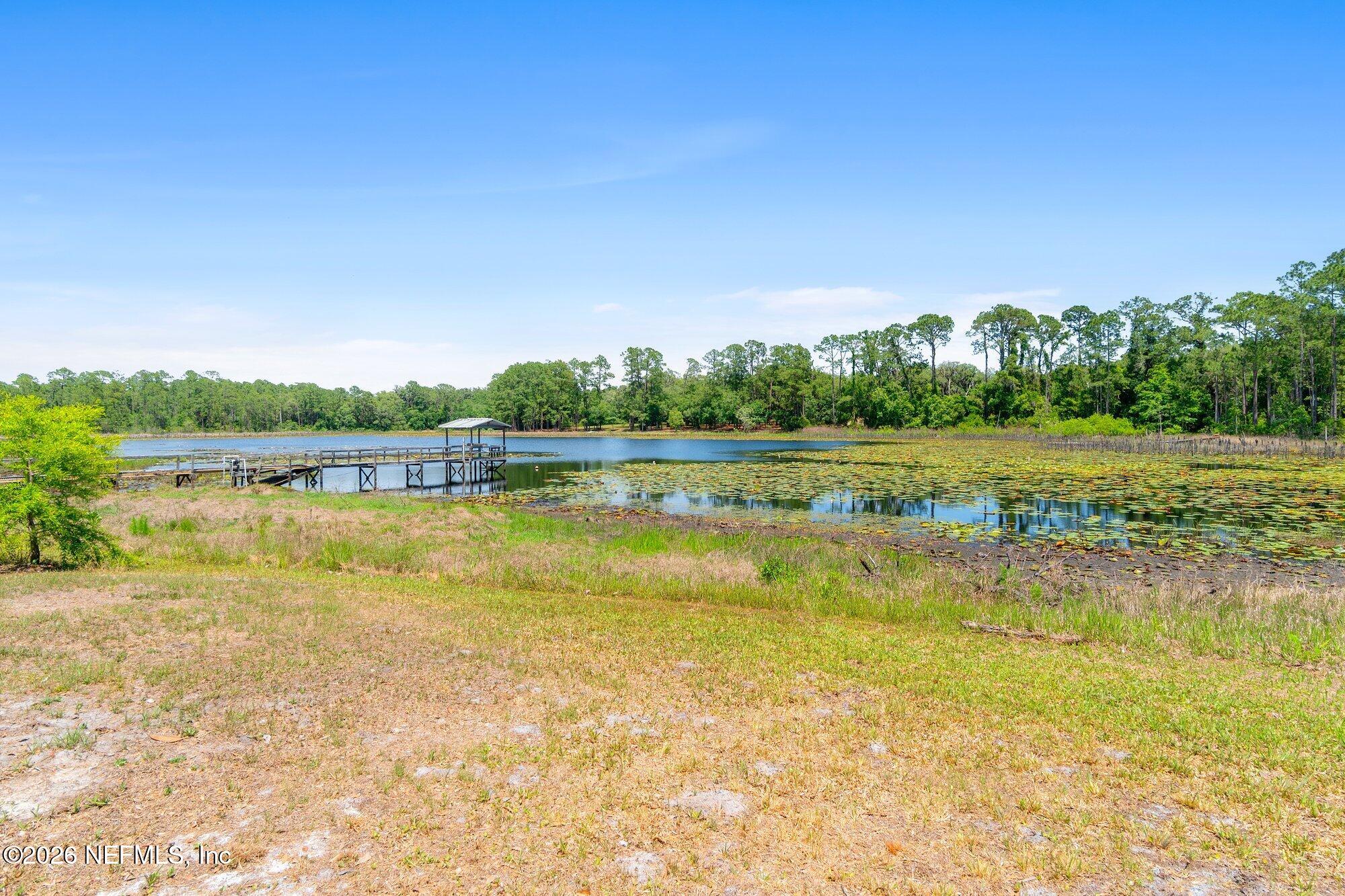 100 Mcgrady Lake Road Crescent City, FL 32112 - Photo 37 of 59 Backyard/Lake McGrady