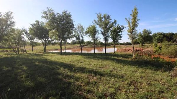 a view of park with tree s