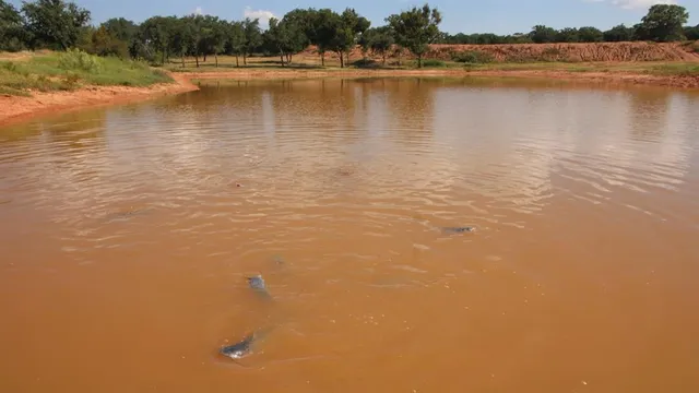 $1,600,000 | 502 County Road 194, Ovalo, TX 79541