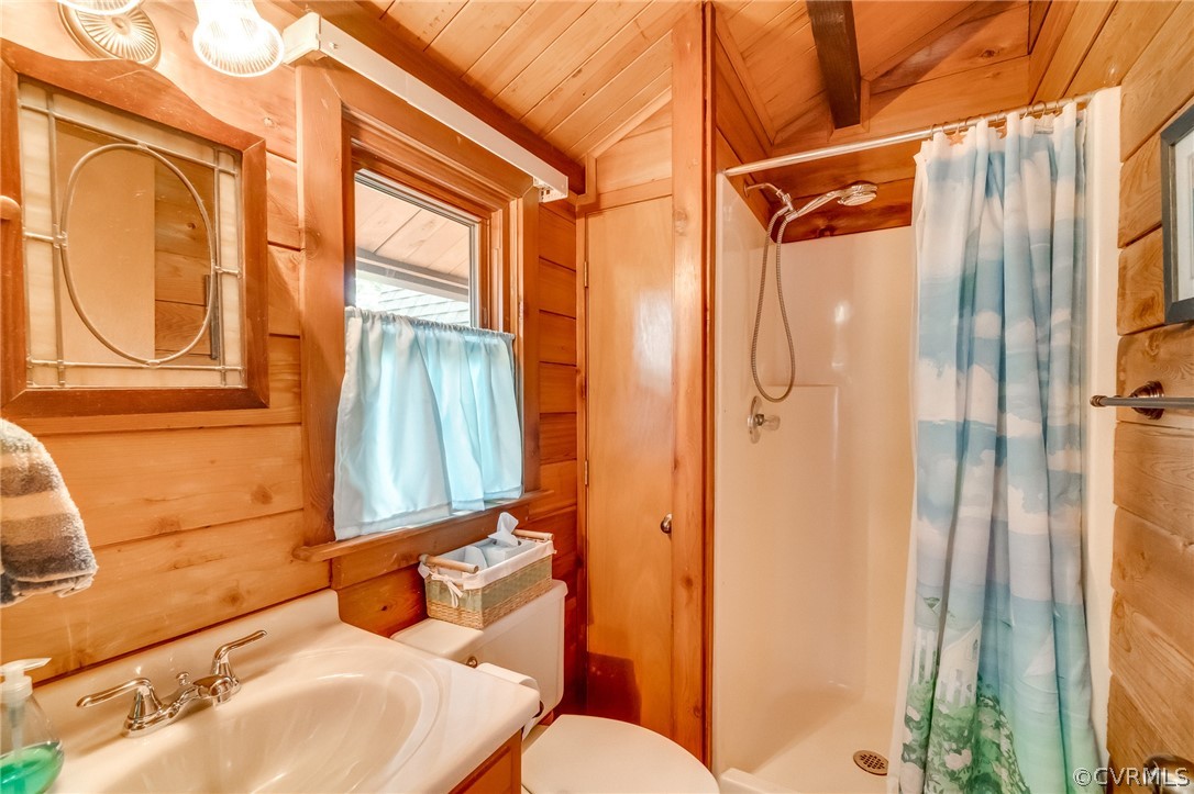 3826 Baldwin Road Chester, VA 23831 - Photo 21 of 50