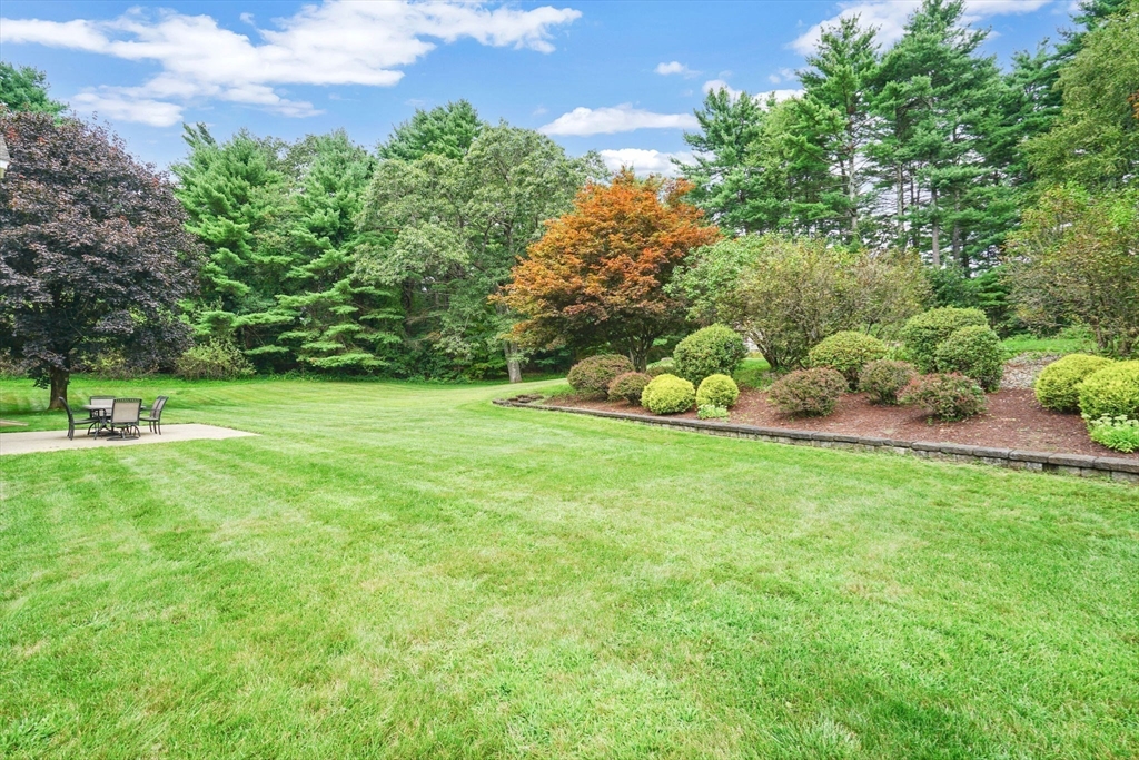 10 Forest Street Palmer, MA 01009 - Photo 32 of 39 Gallery Image 32
