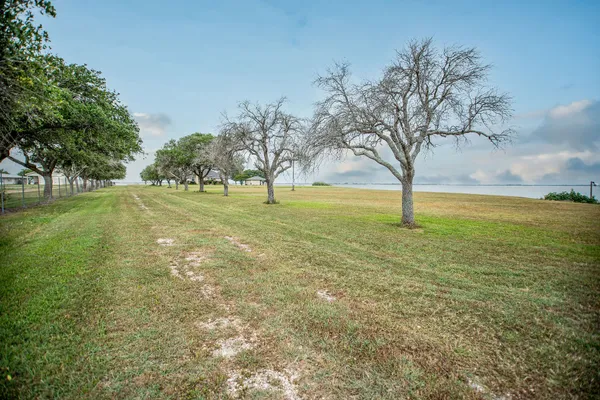 a view of green field with tree in the background