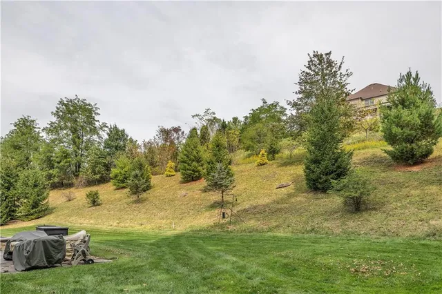 a view of a yard with a house