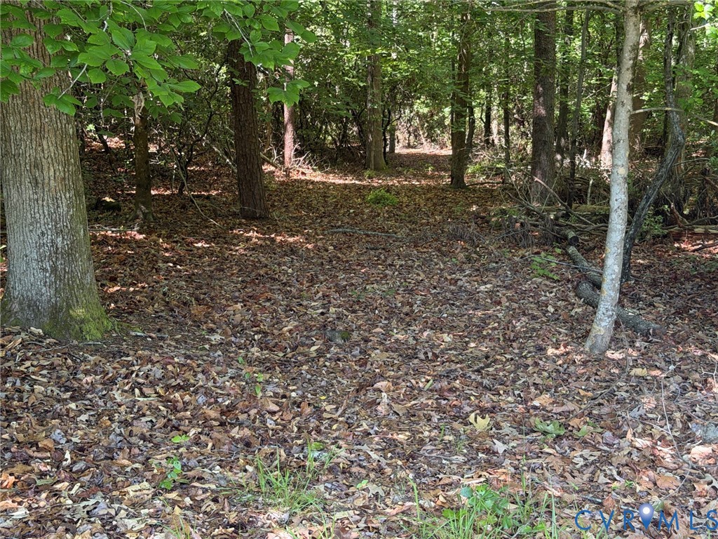 Tbd Cooks Mill Road Lanexa, VA 23089 - Photo 15 of 26