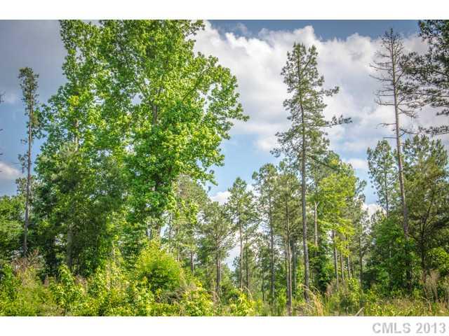 0 Sims Road Waxhaw, NC 28173 - Photo 1 of 2