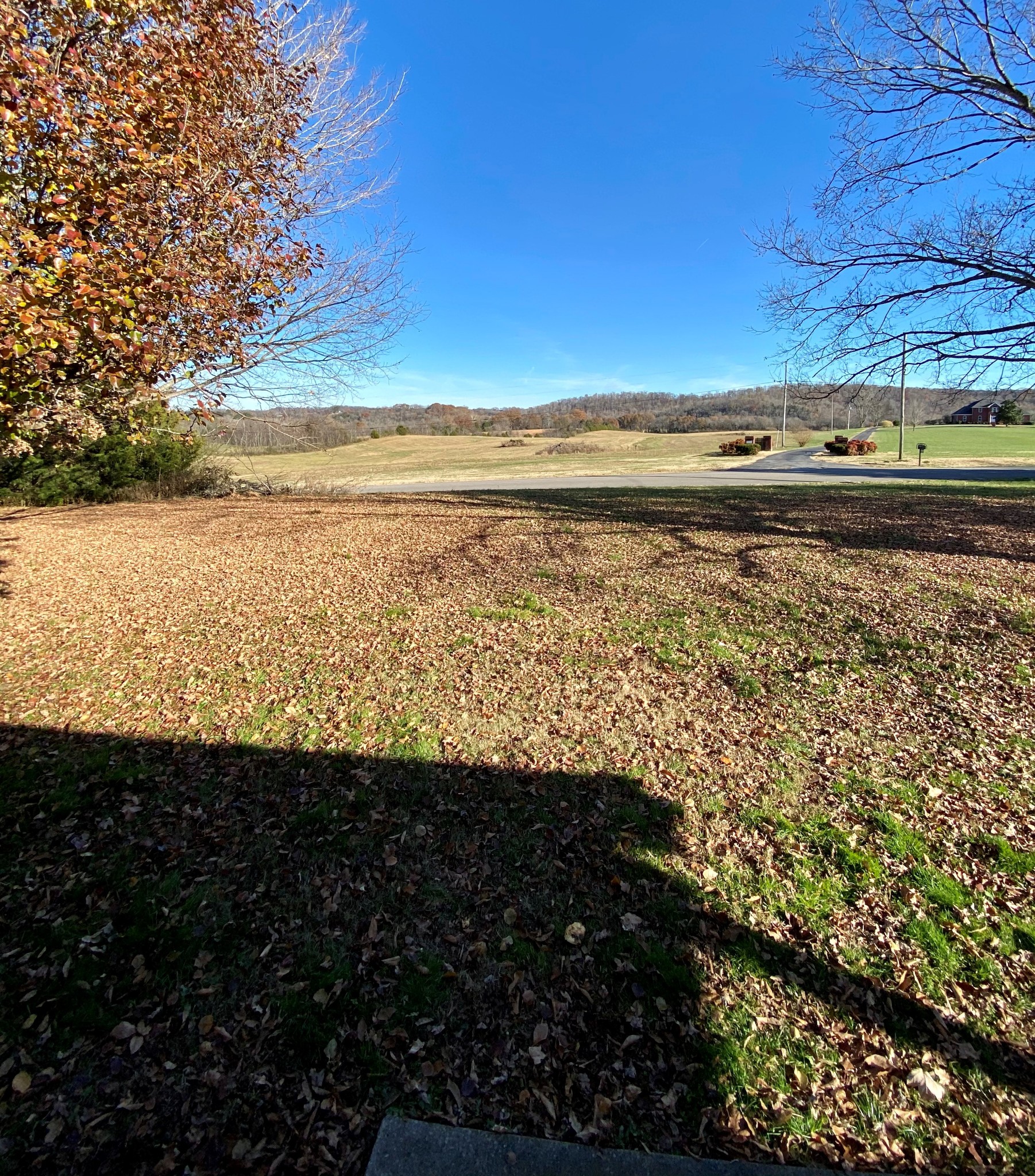 1071 Baugh Road Ardmore, TN 38449 - Photo 3 of 16 a view of an ocean beach