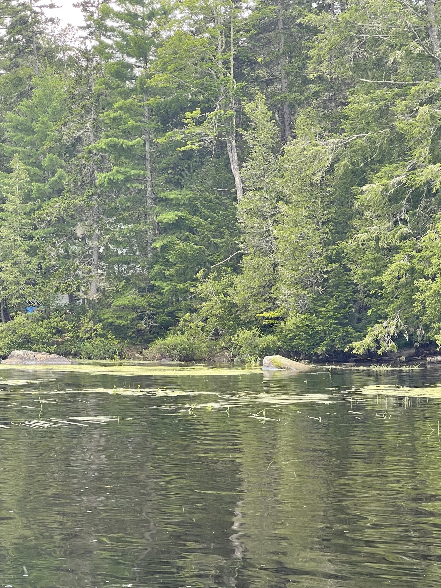 0 Sebec Lake Willimantic, ME 04443 - Photo 2 of 2 IMG_4377