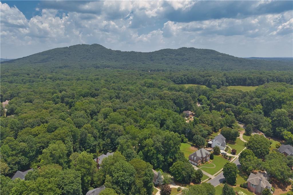 1196 Button Hill Road Kennesaw, GA 30152 - Photo 46 of 47