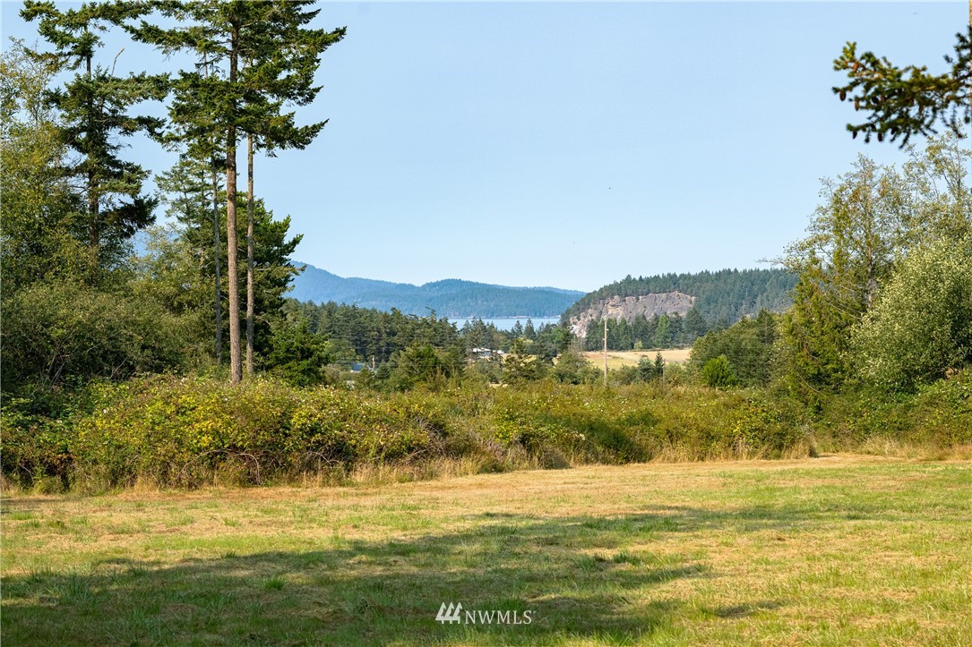 703 Fisherman Bay Road Lopez Island, WA 98261 - Photo 23 of 30 Gallery Image 23