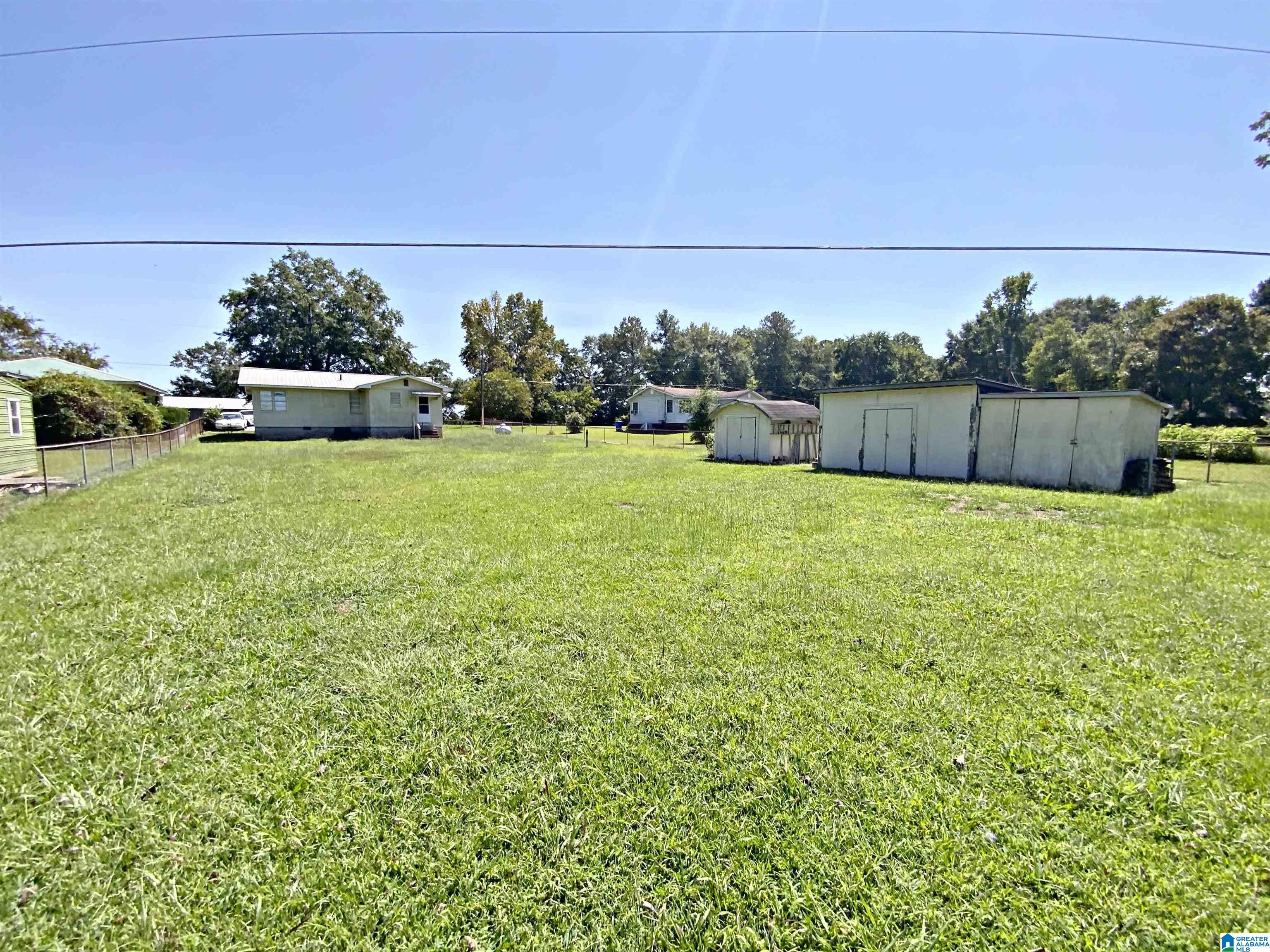 1733 Steinburg Road Piedmont, AL 36272 - Photo 10 of 42