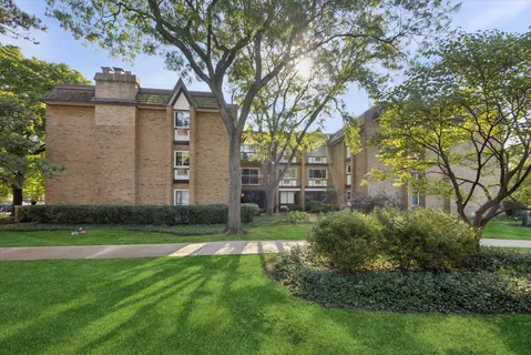 a view of a back yard