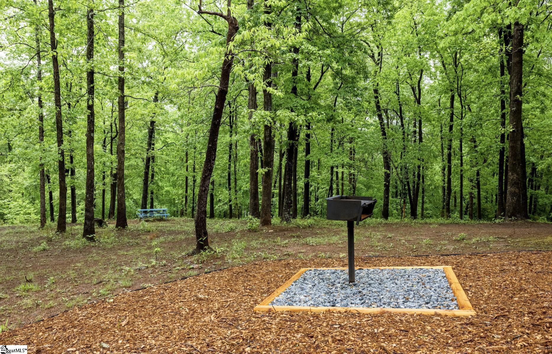 425 Tiger Lane Westminster, SC 29693 - Photo 33 of 37