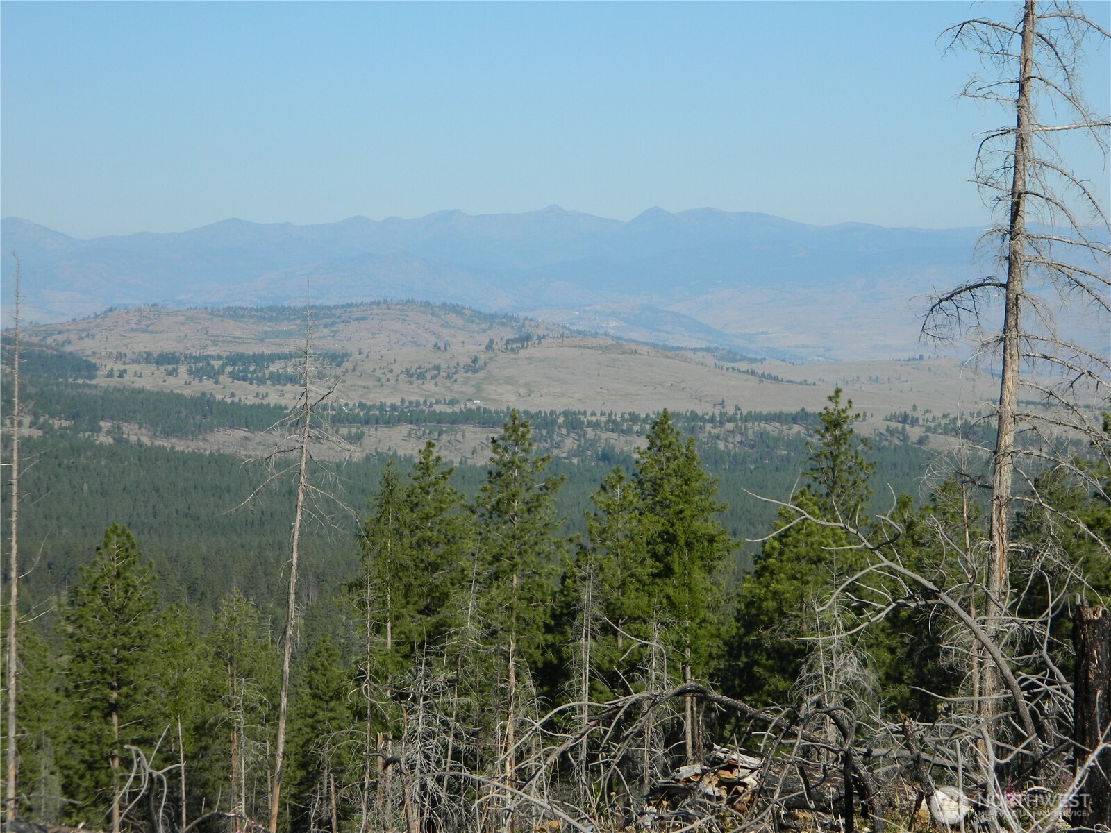 a view of a lake in middle of forest