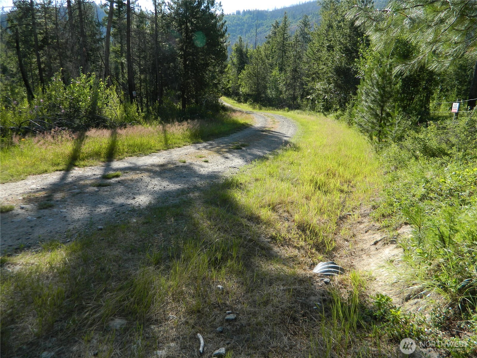 0 Stagecoach Trail Riverside, WA 98849 - Photo 12 of 29 a view of swimming pool with a yard