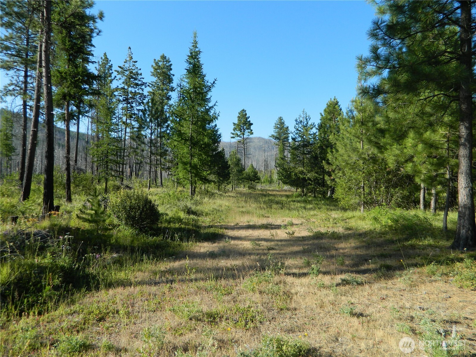 0 Stagecoach Trail Riverside, WA 98849 - Photo 20 of 29