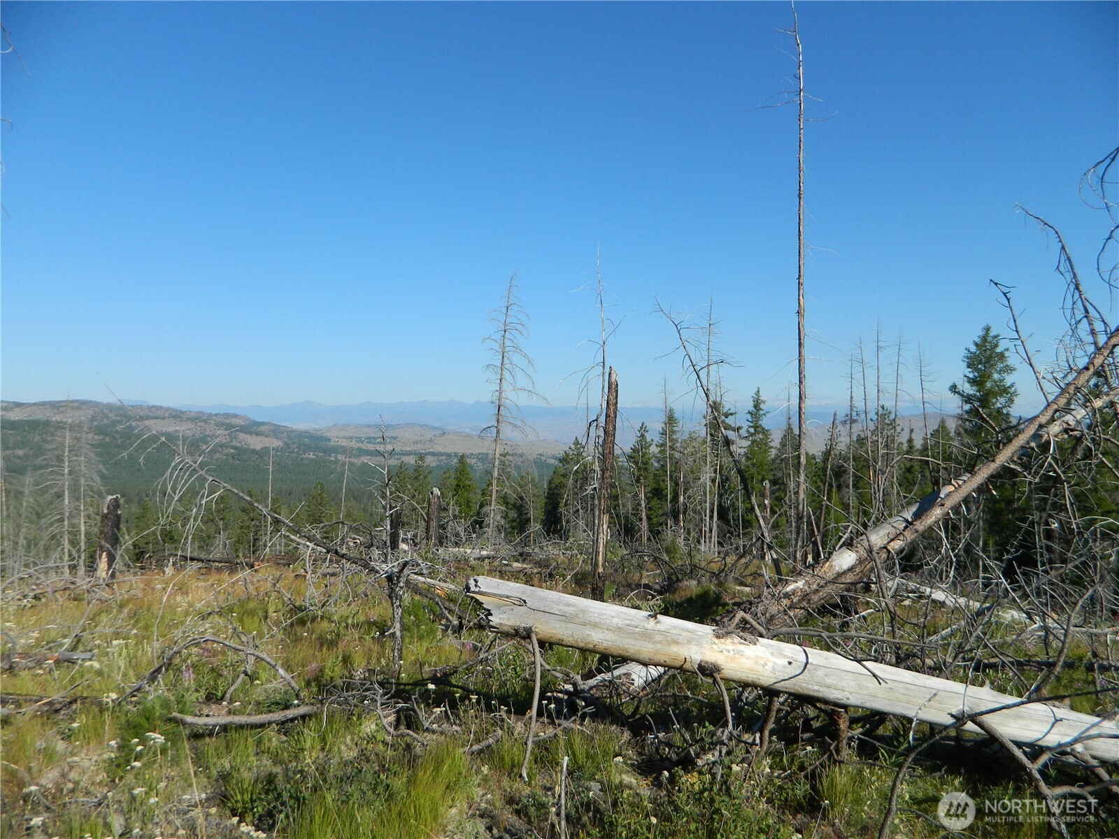 0 Stagecoach Trail Riverside, WA 98849 - Photo 2 of 29 a view of a city with lush green forest
