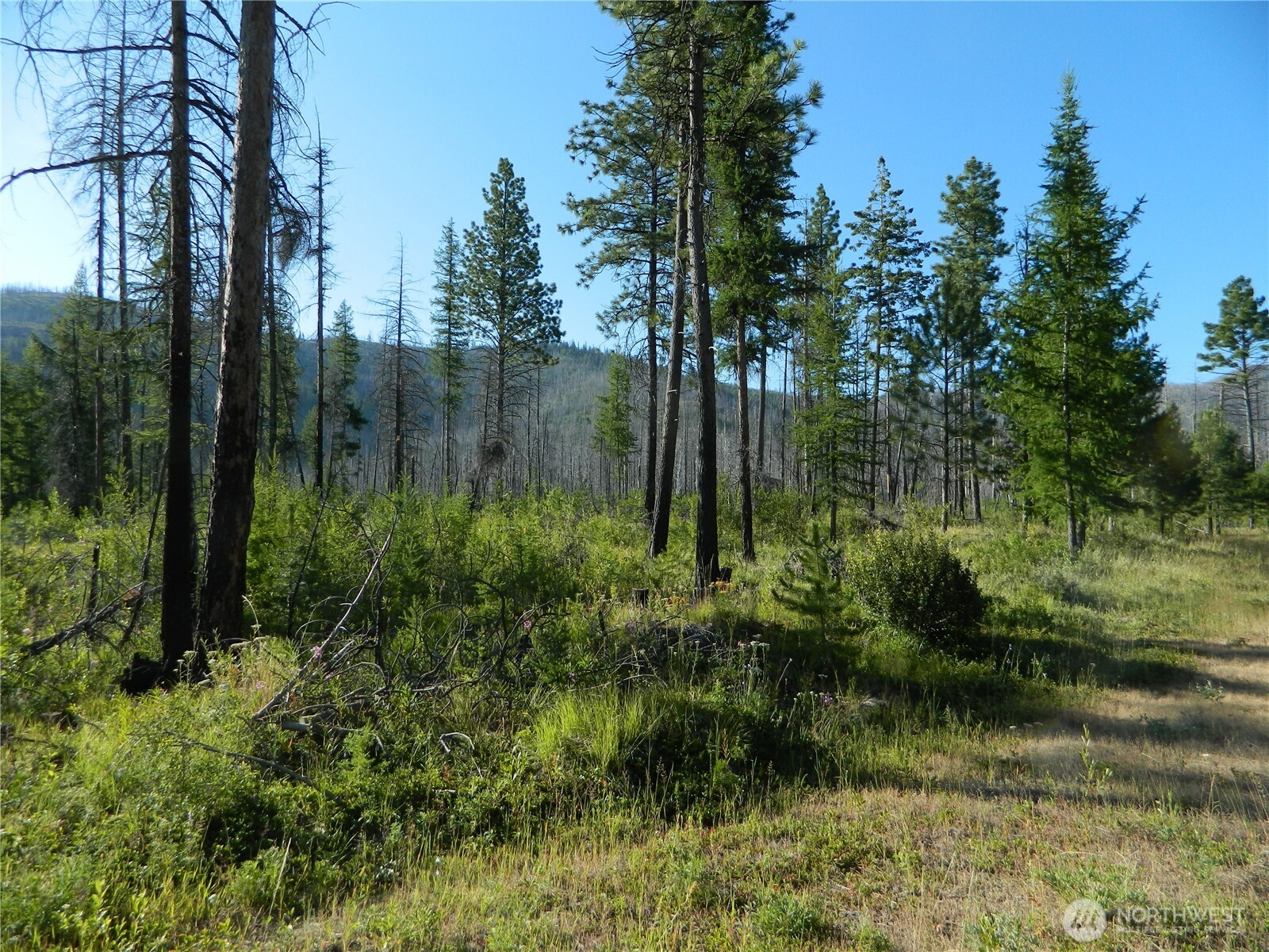 0 Stagecoach Trail Riverside, WA 98849 - Photo 21 of 29 a view of a lake view with sitting space