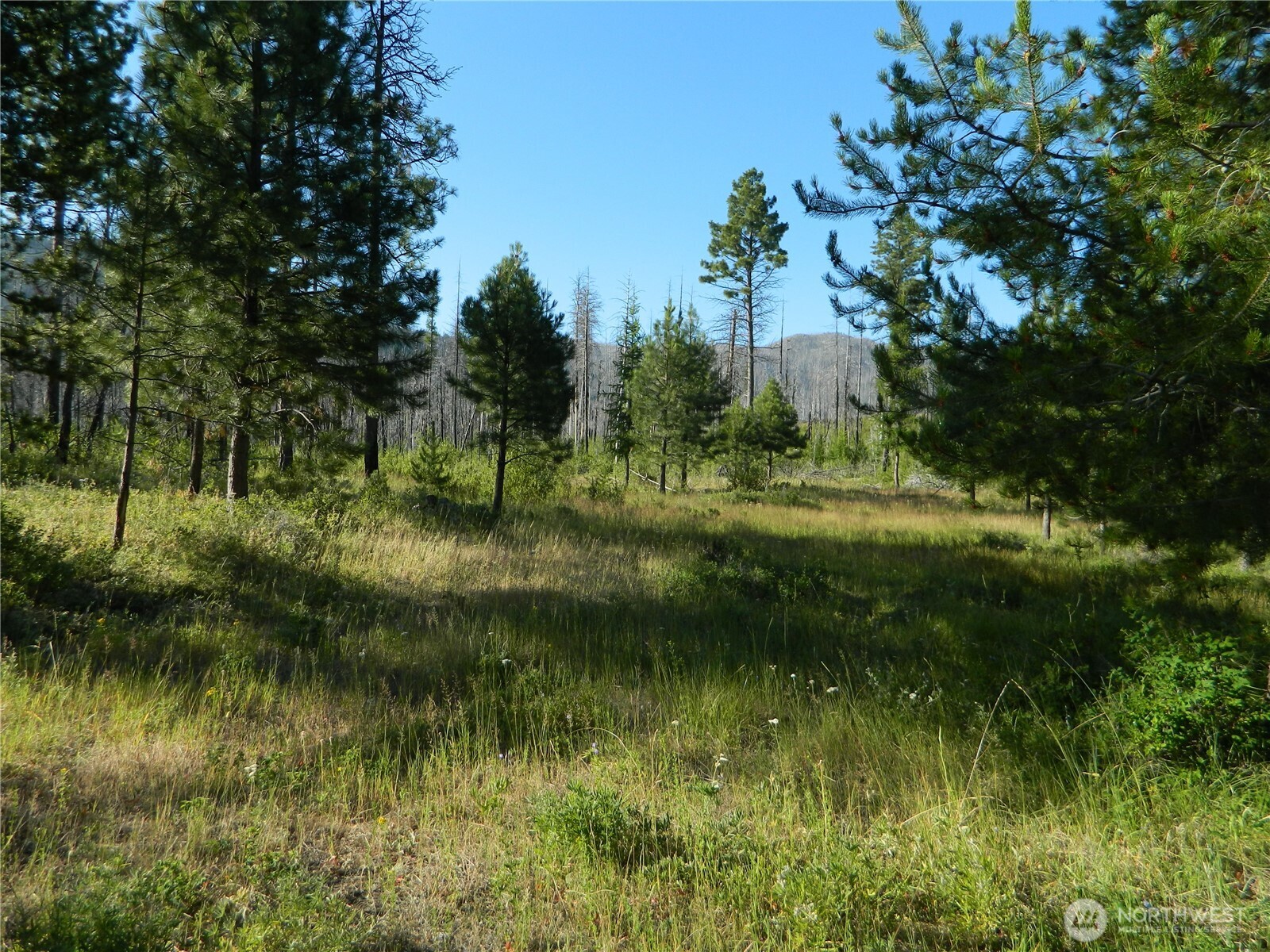 0 Stagecoach Trail Riverside, WA 98849 - Photo 24 of 29 a view of a lake view with a garden