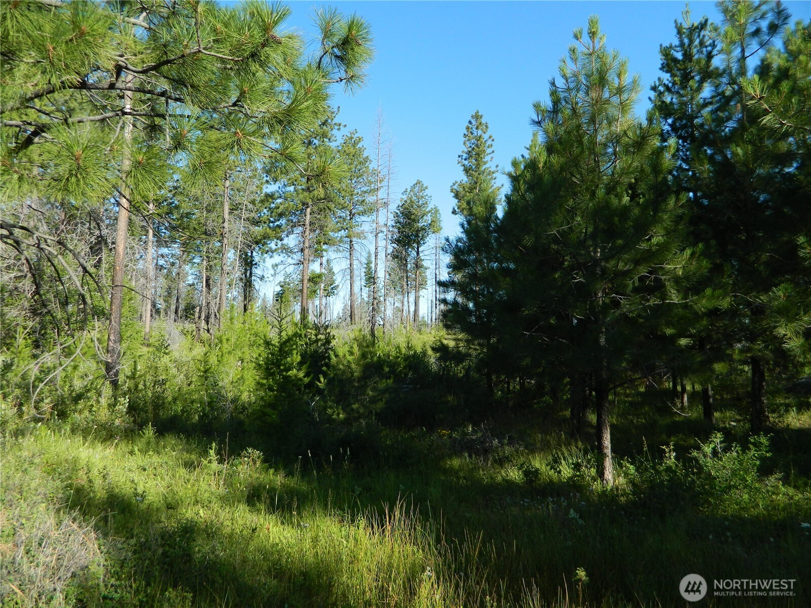 0 Stagecoach Trail Riverside, WA 98849 - Photo 25 of 29 a view of lake background with house