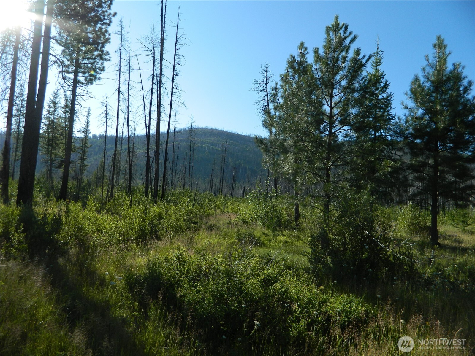 0 Stagecoach Trail Riverside, WA 98849 - Photo 26 of 29 a view of outdoor space and yard