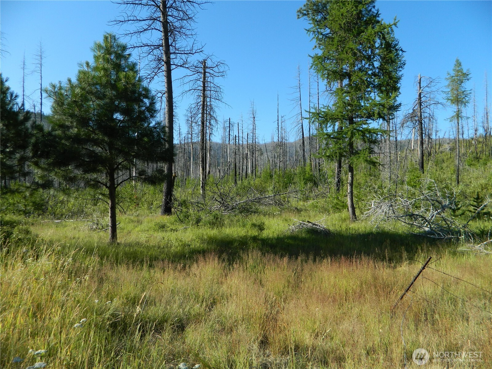 0 Stagecoach Trail Riverside, WA 98849 - Photo 28 of 29