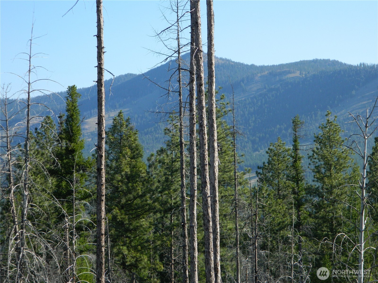 0 Stagecoach Trail Riverside, WA 98849 - Photo 3 of 29 a view of a city from a balcony