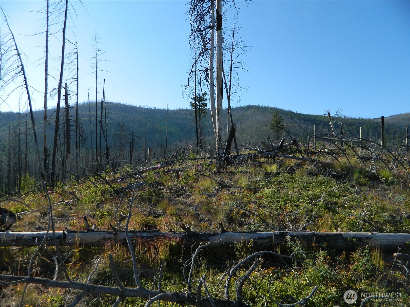 0 Stagecoach Trail Riverside, WA 98849 - Photo 5 of 29