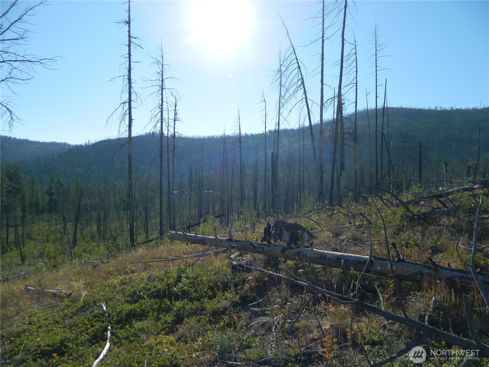 0 Stagecoach Trail Riverside, WA 98849 - Photo 6 of 29 a backyard of a house