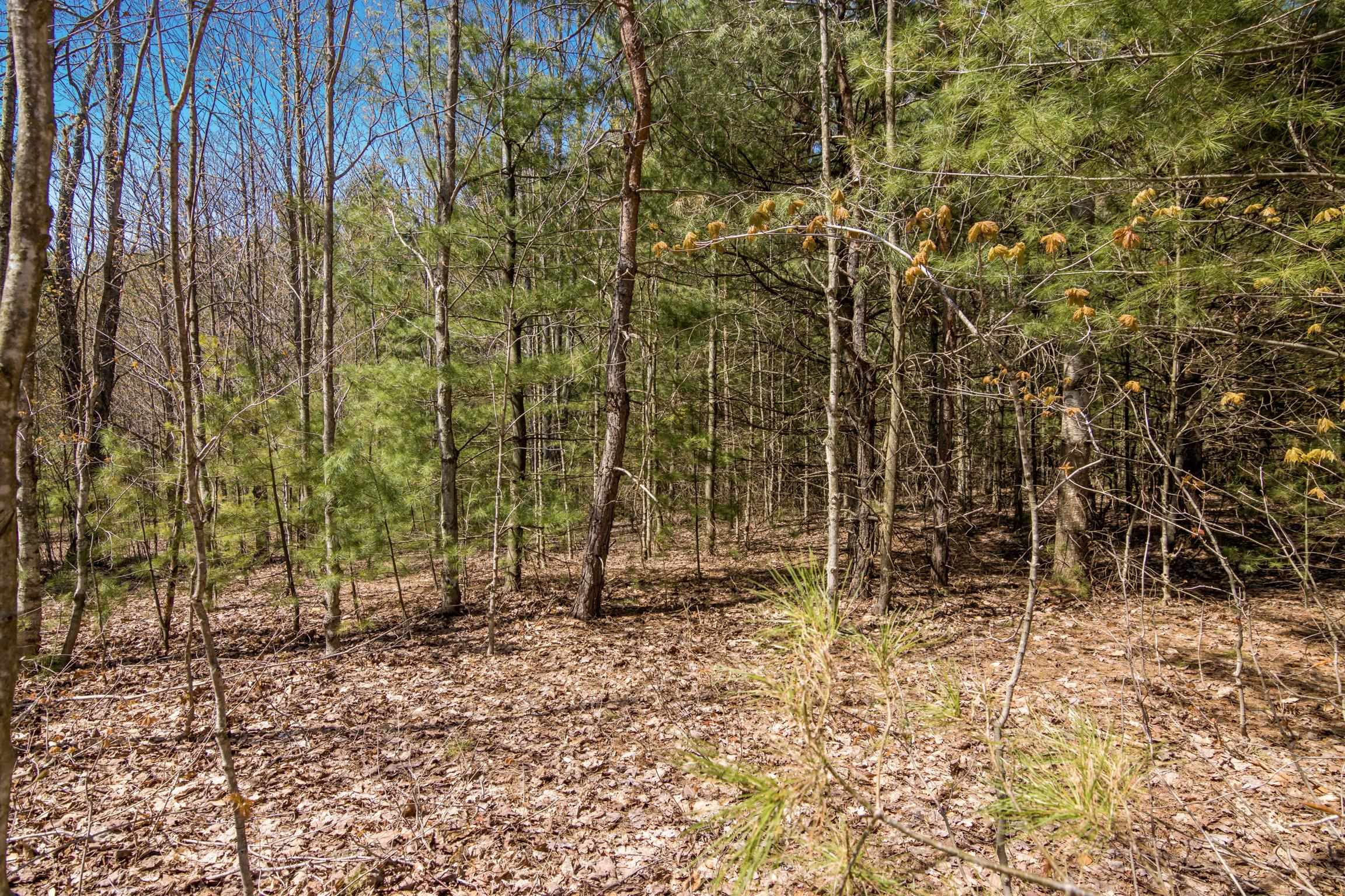 2 Woodland Trail, Unit PARCEL 2 Cedar, MI 49621 - Photo 18 of 19