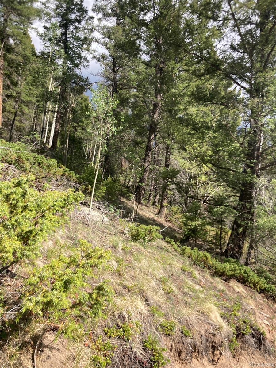 Lot 6461 Jacquez Road San Luis, CO 81152 - Photo 12 of 22