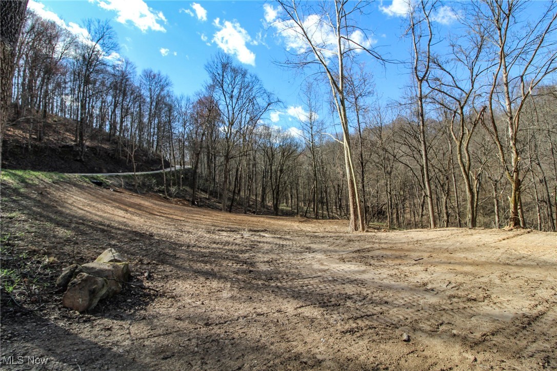 Elk Run Road New Matamoras, OH 45767 - Photo 5 of 27 View of landscape
