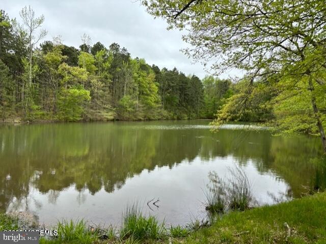 724 Monmouth Road, Unit 14 Cream Ridge, NJ 08514 - Photo 22 of 25 a body of water with a tree in the background