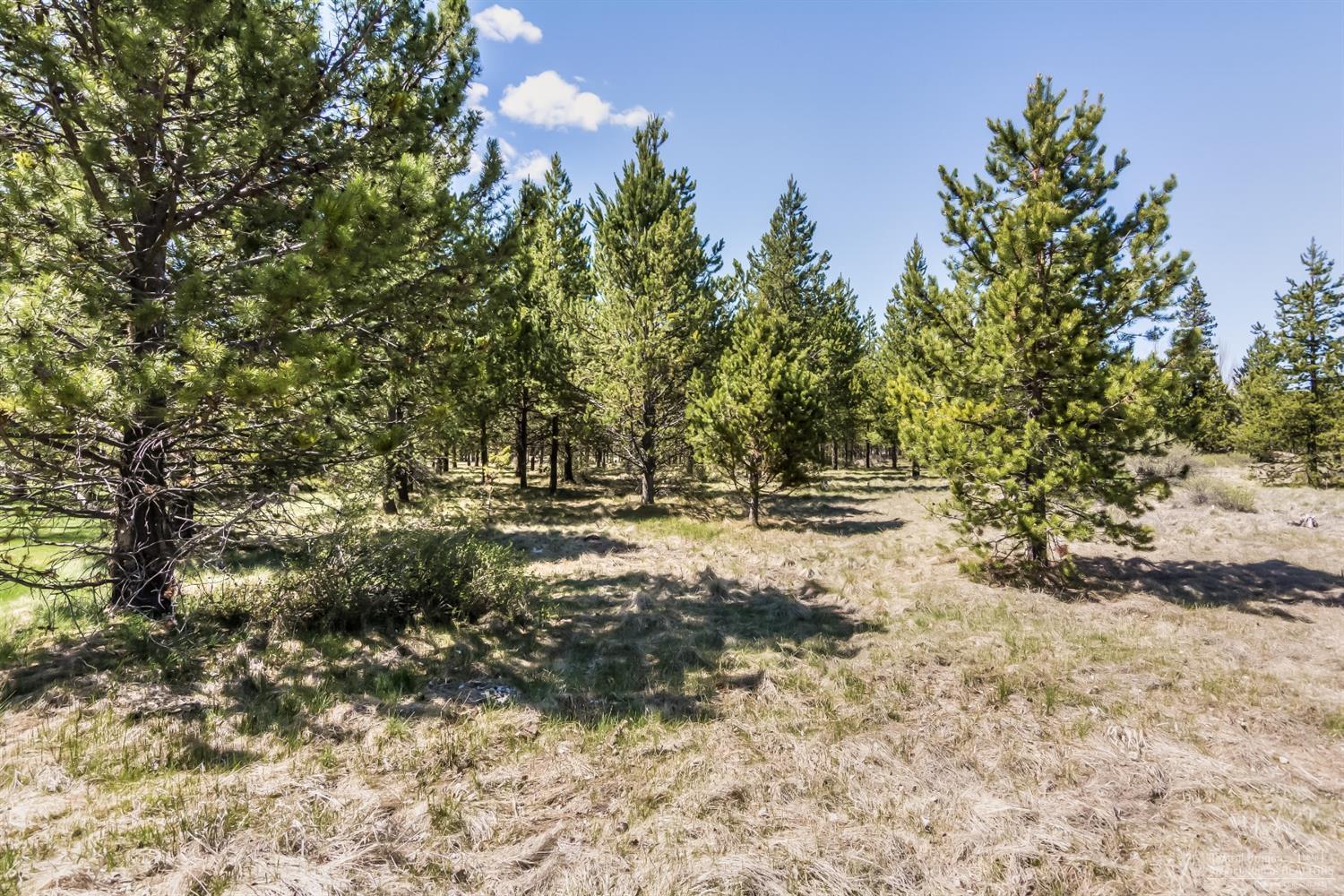 71 Twin Rivers Drive Bend, OR 97707 - Photo 14 of 17 Additional Photo