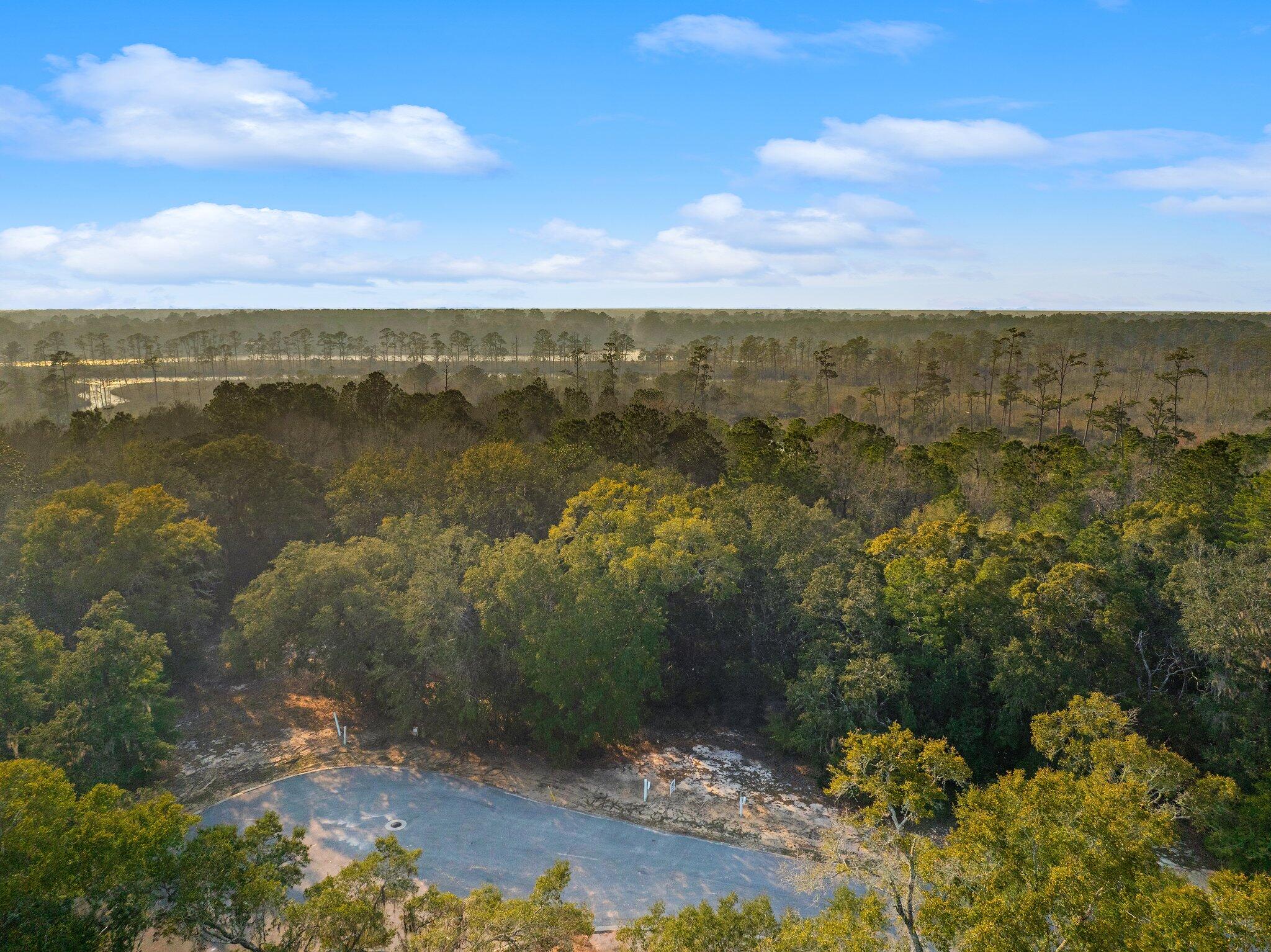 Lot 2 South J Hunter's Way Freeport, FL 32439 - Photo 10 of 16 a view of lake with mountain