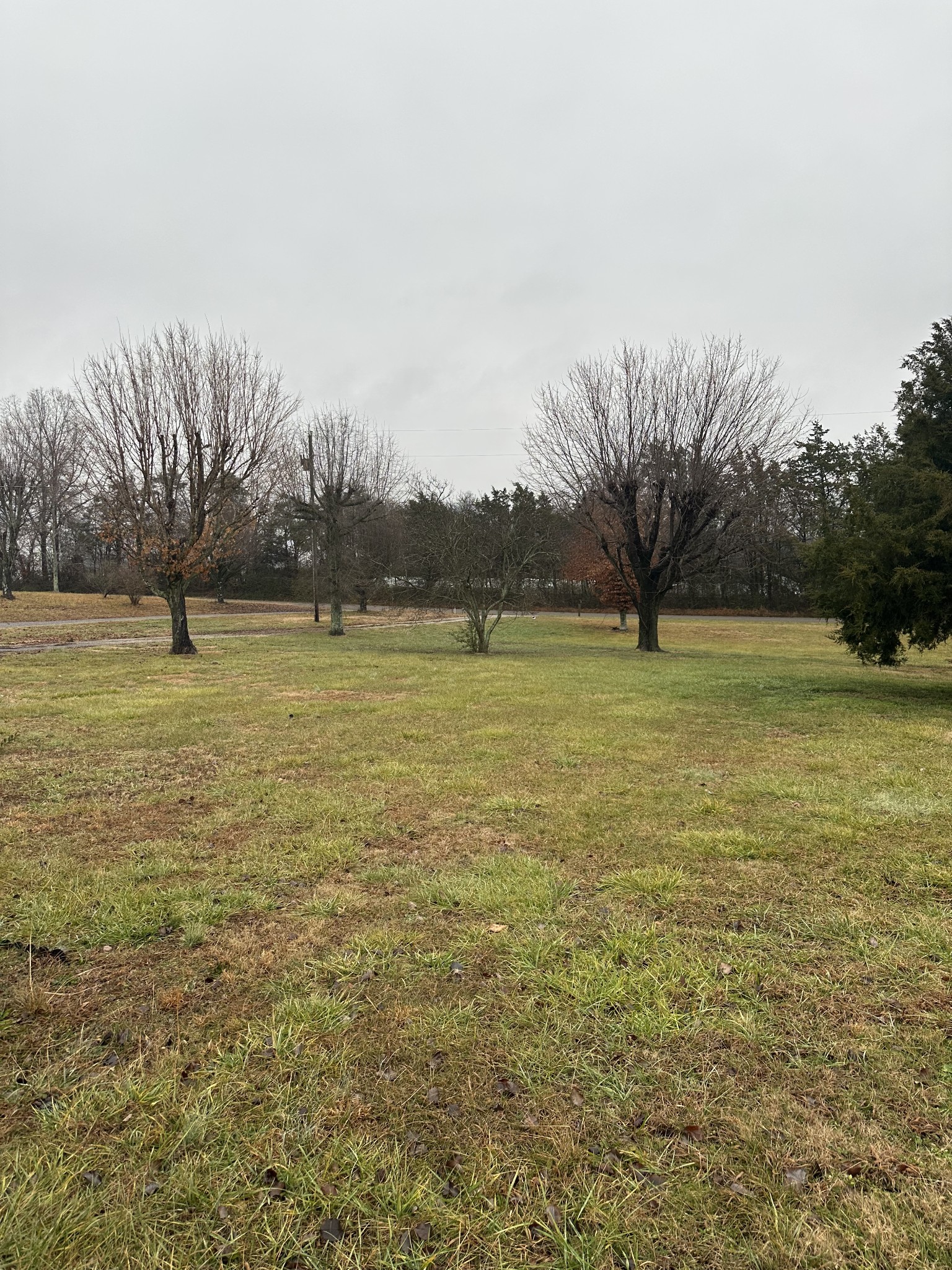 548 Bessie Gribble Road Smithville, TN 37166 - Photo 29 of 30 Gallery Image 29