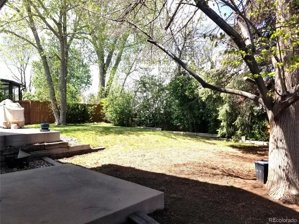a view of a backyard with a large tree