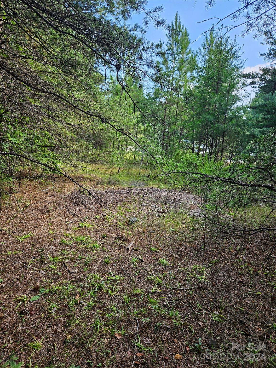 0 Pumkin Patch Road, Unit NONE Rutherfordton, NC 28139 - Photo 3 of 10
