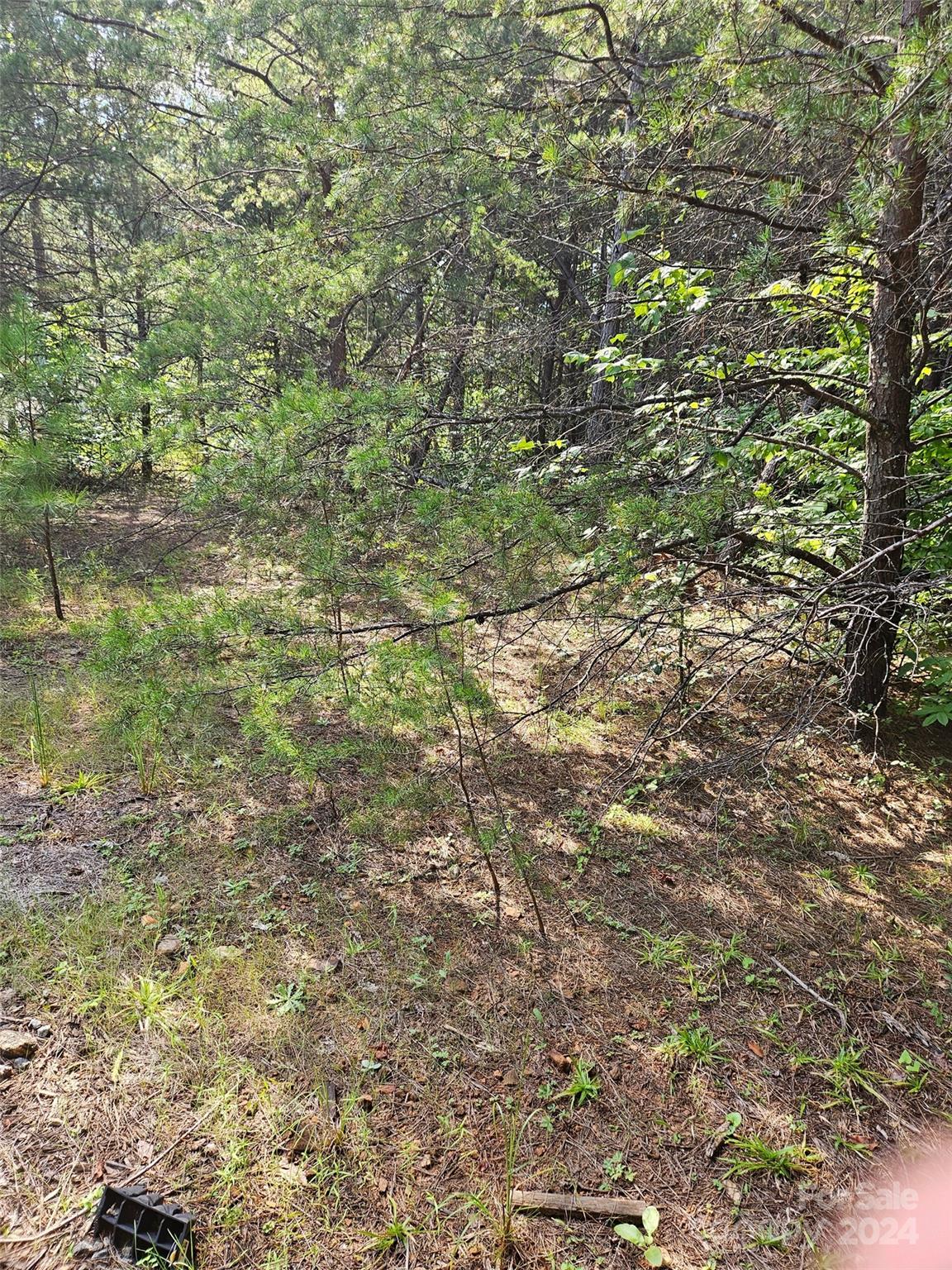 0 Pumkin Patch Road, Unit NONE Rutherfordton, NC 28139 - Photo 8 of 10